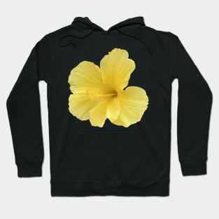 Happy Yellow Hibiscus Hoodie